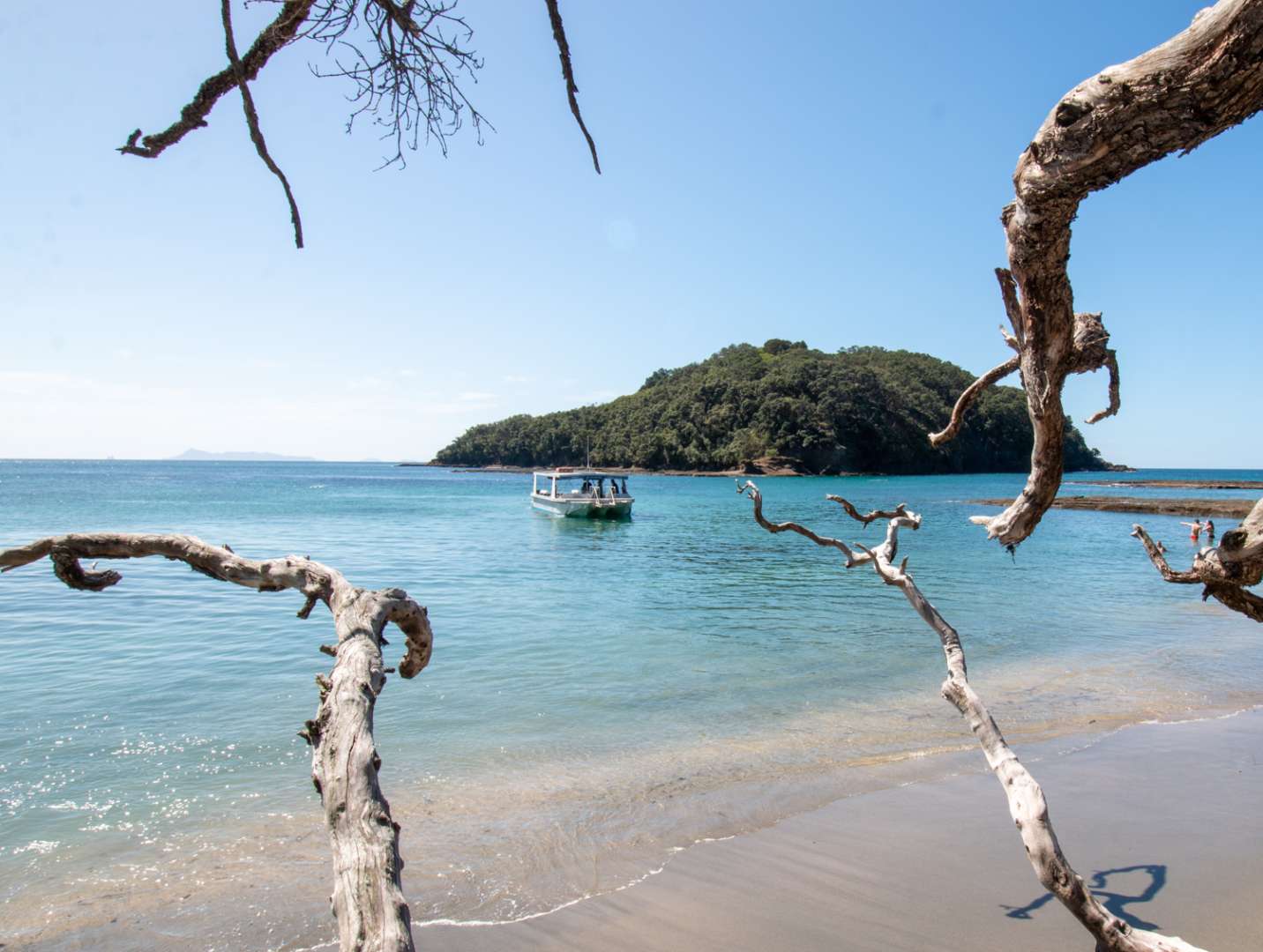 Glass Bottom Boat at Goat Island Auckland New Zealand